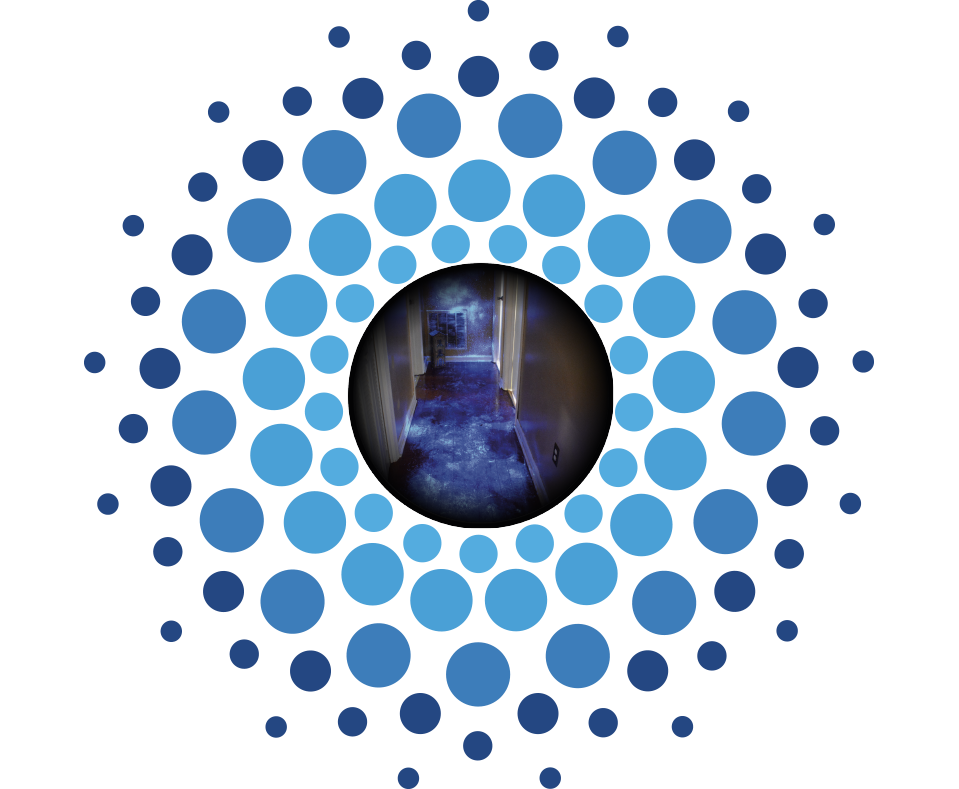 BlueStar Forensic