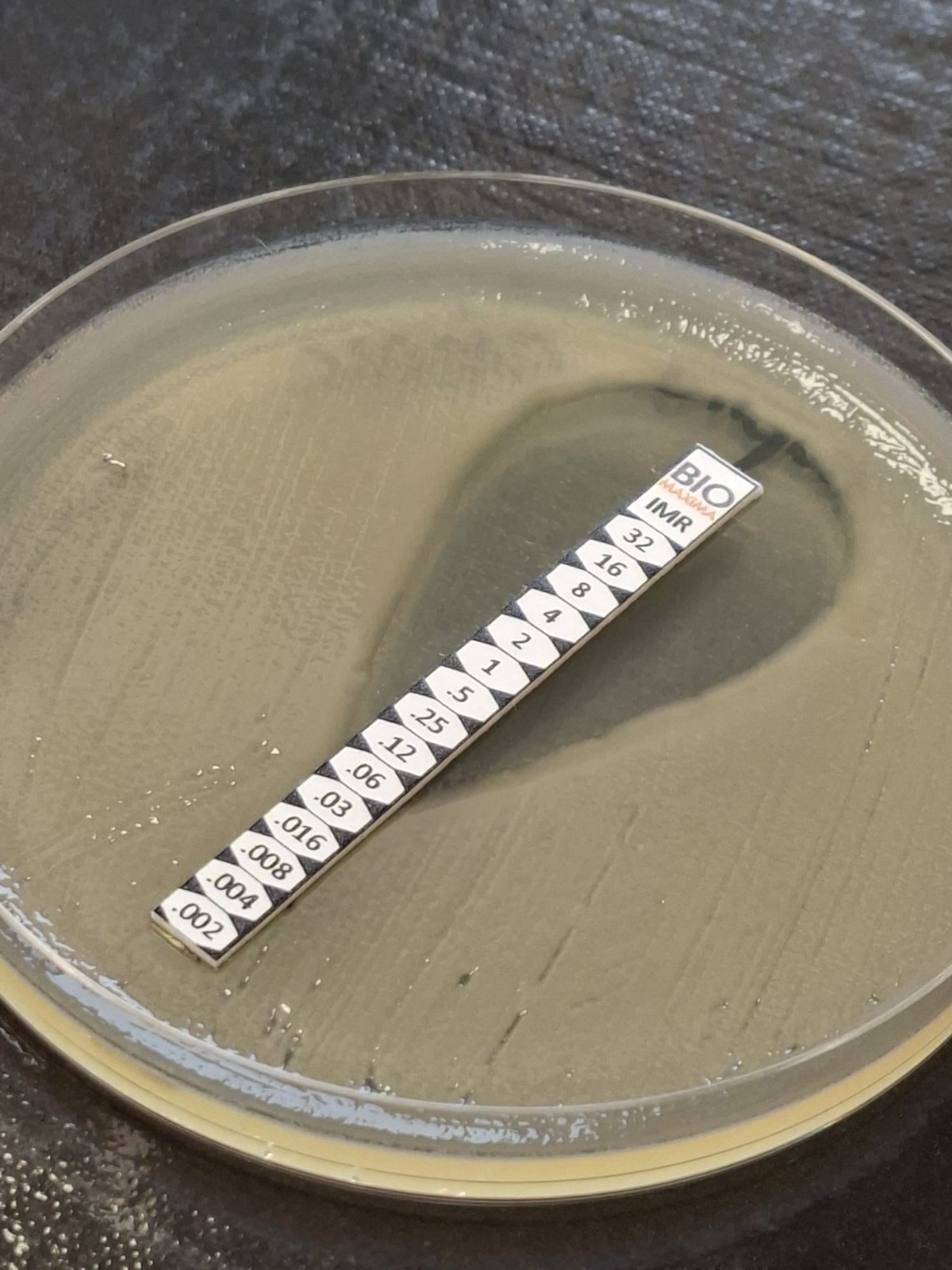BioMaxima MIC Gradient Strips